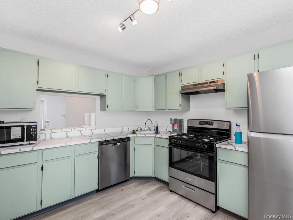 31 Winchester Avenue