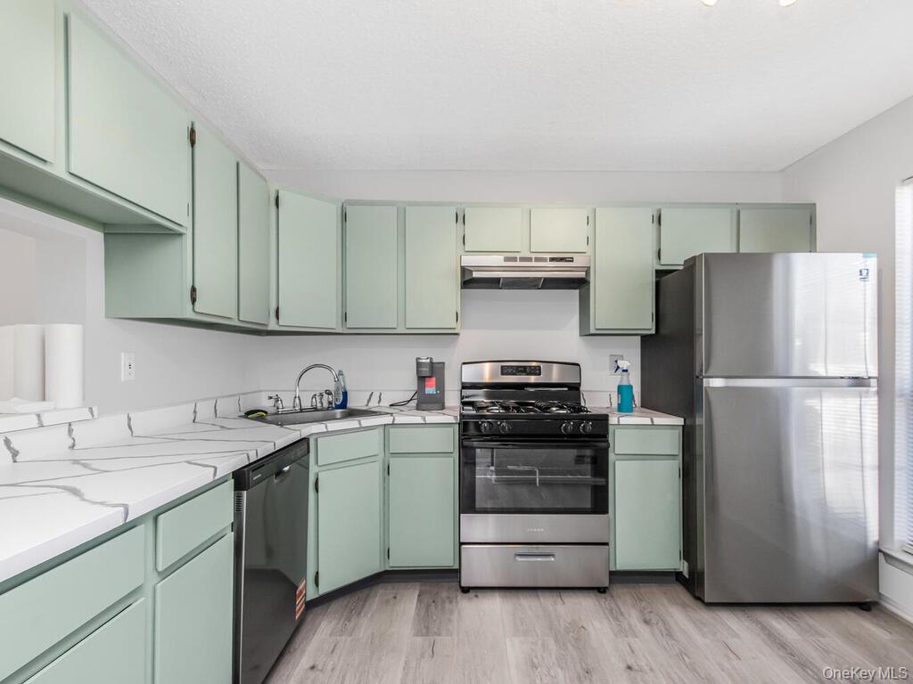 31 Winchester Avenue