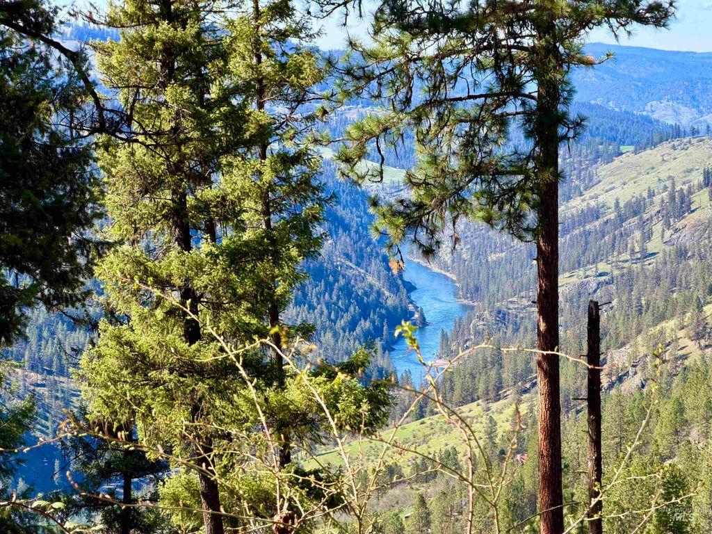 Photo of 4012 Highway 11, Orofino, ID 83544 (MLS # 98981096)