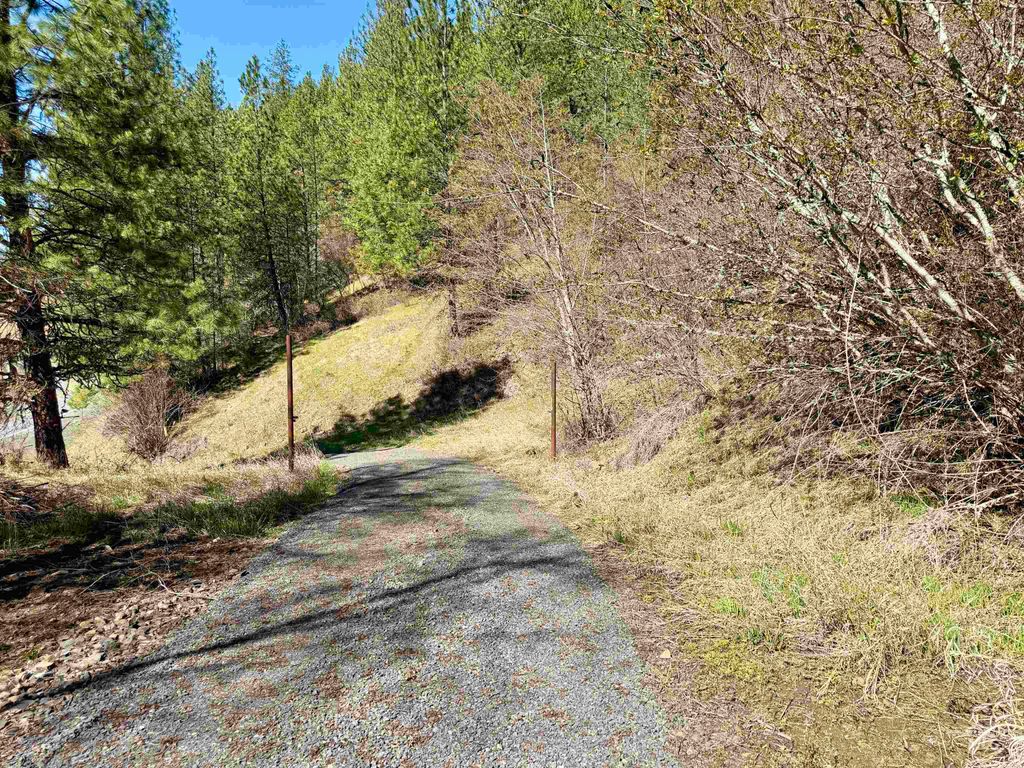 Photo of 4012 Highway 11, Orofino, ID 83544 (MLS # 98981096)