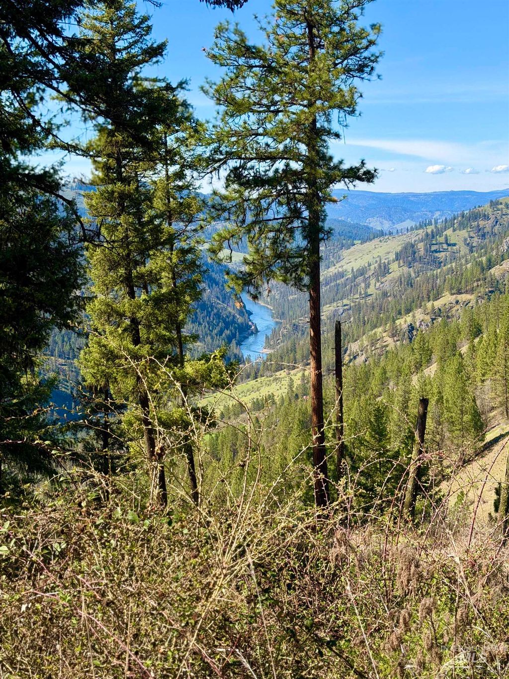 Photo of 4012 Highway 11, Orofino, ID 83544 (MLS # 98981096)