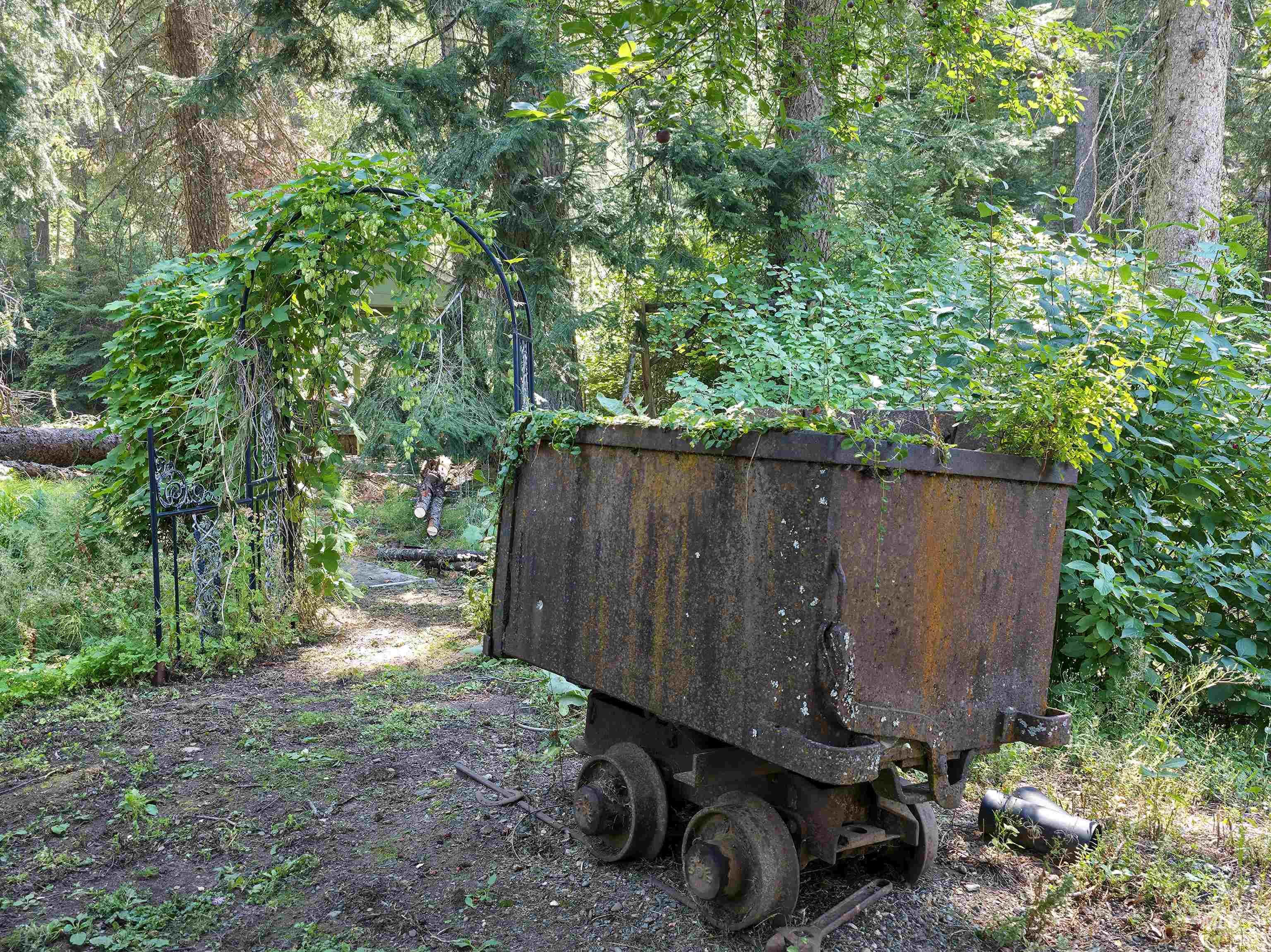 View of yard featuring a view of trees