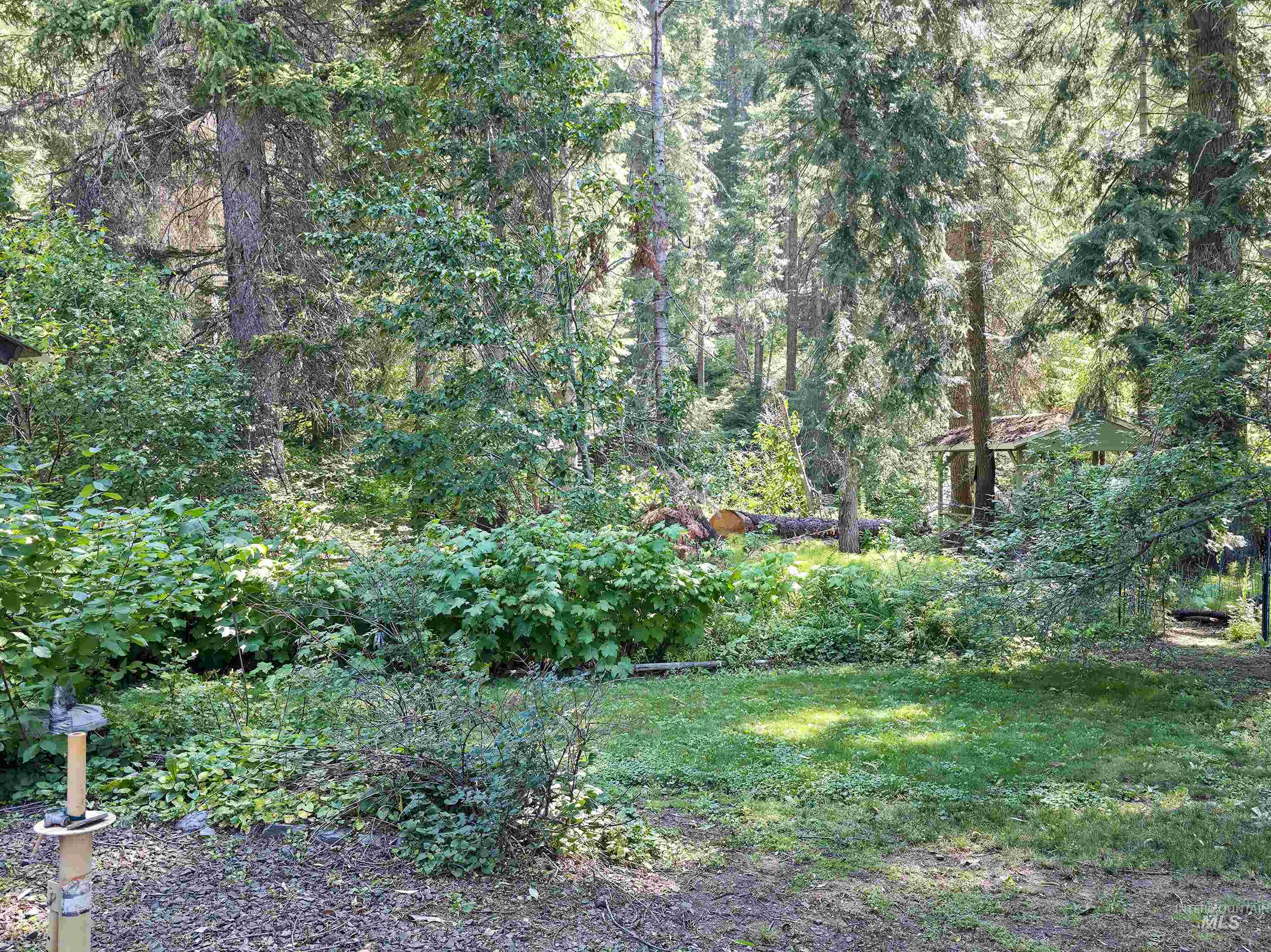View of grassy yard with a wooded view