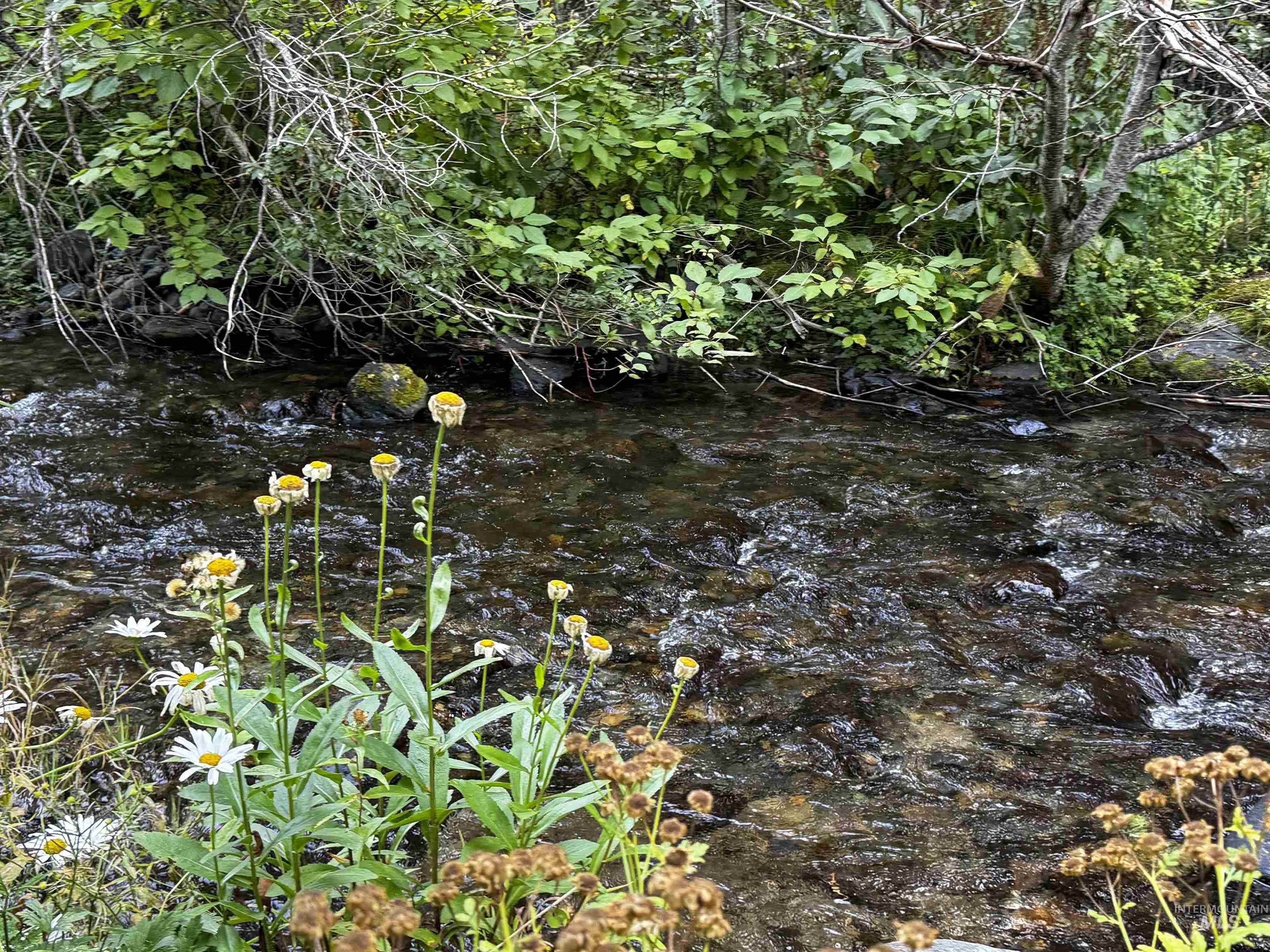 4482 Council Cuprum Rd