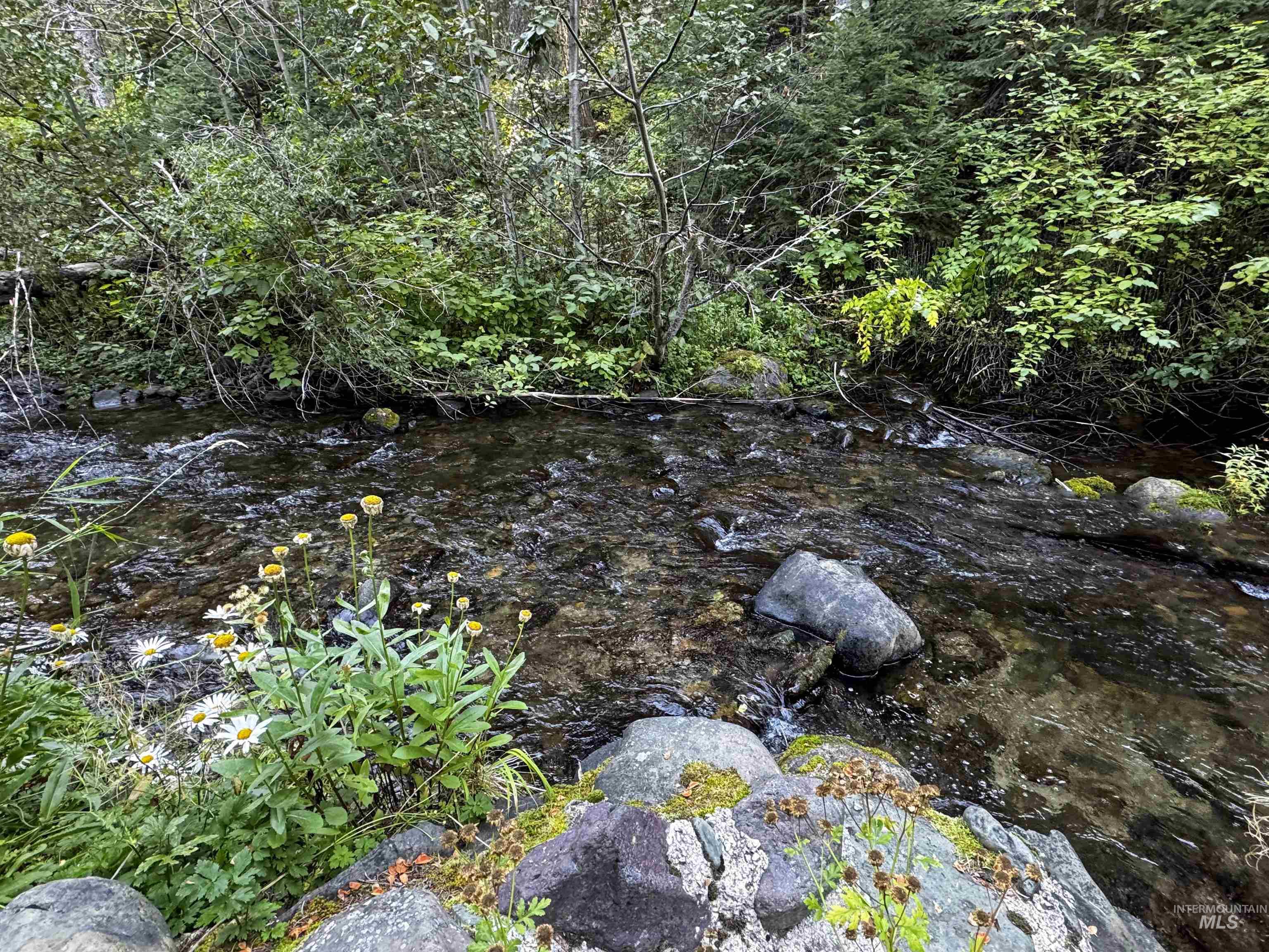 View of undeveloped land