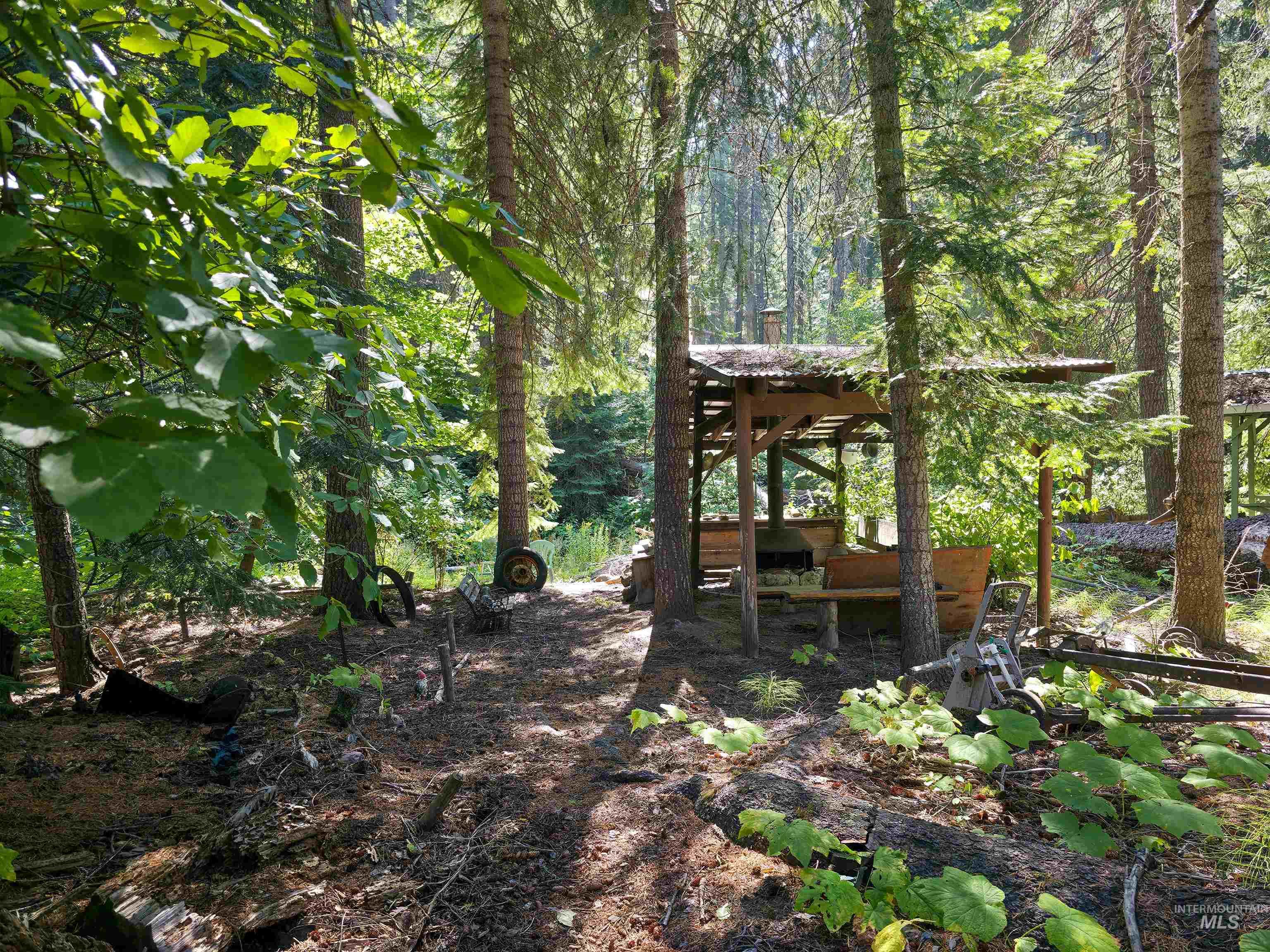 View of yard featuring a forest view