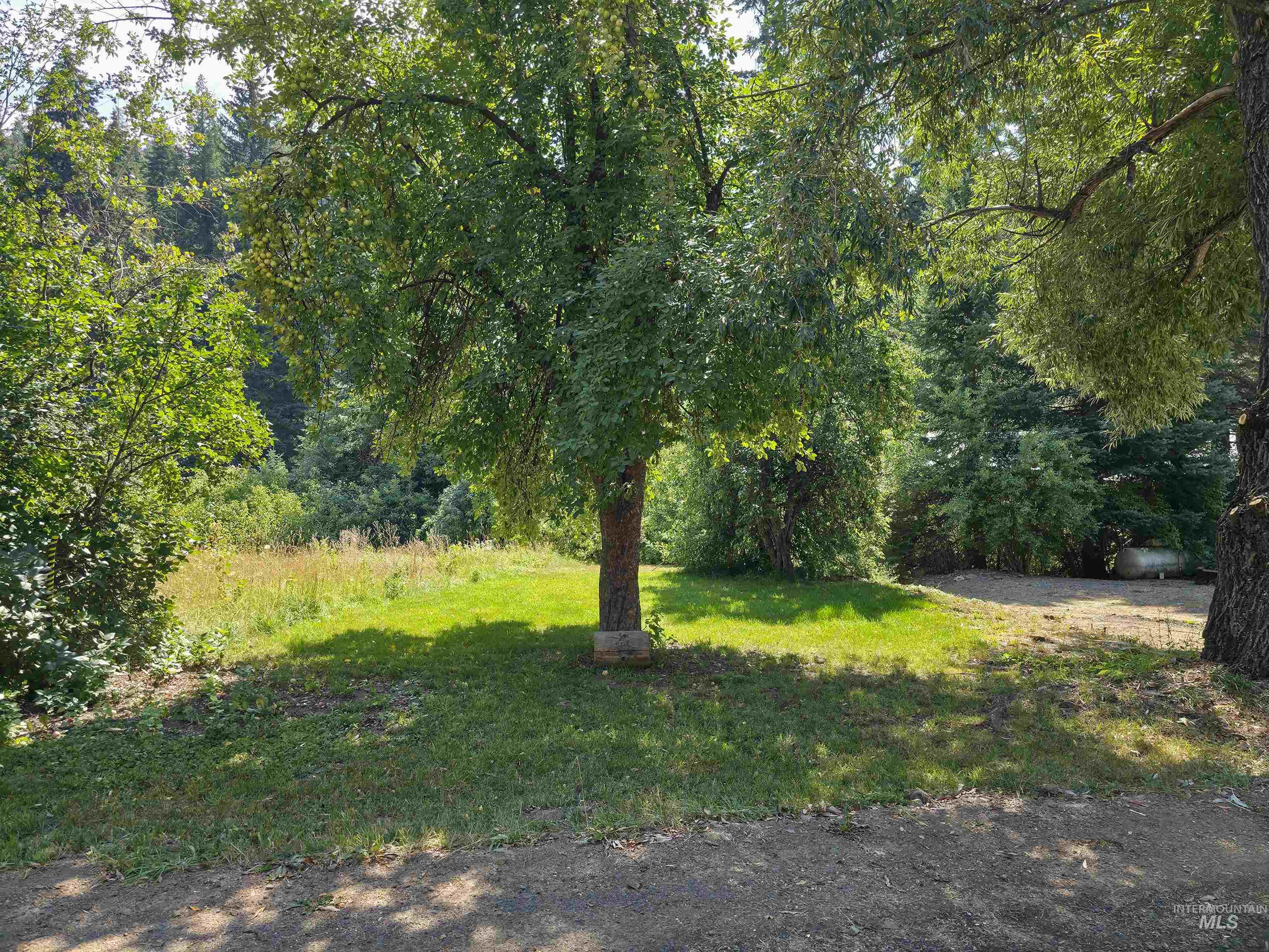 View of green lawn featuring a forest view