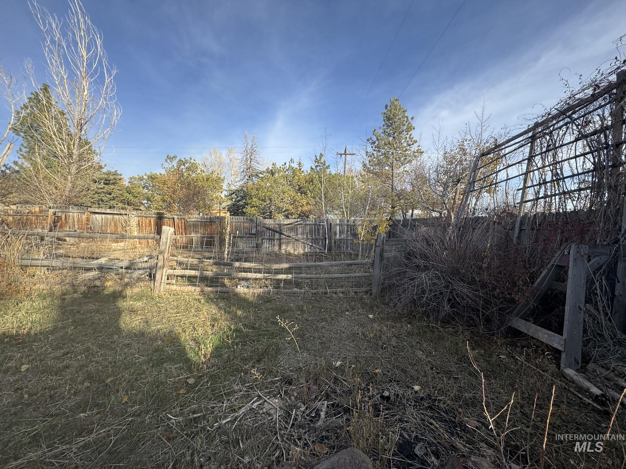 View of fenced backyard