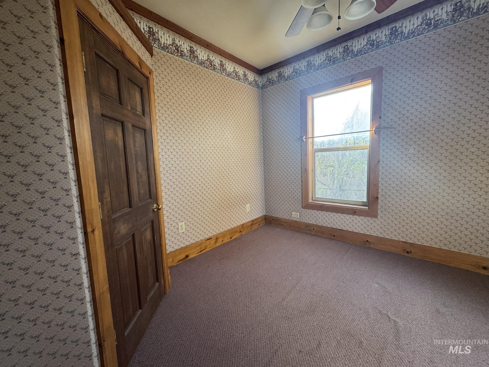 Spare room featuring wallpapered walls, carpet floors, and a ceiling fan