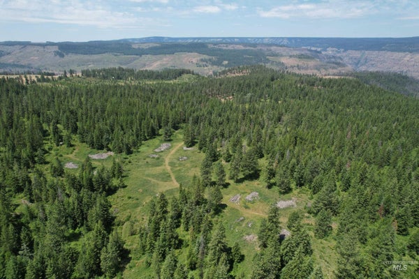 TBD SICKFOOT ROAD, WALLOWA, OR 97885 - Image 0239666bf1069b7380e5b8c95dc7385f/2471198850