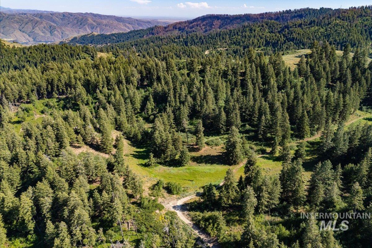 View of mountain backdrop featuring a heavily wooded area