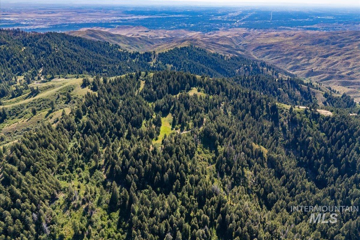 Bird's eye view of mountains and a forest