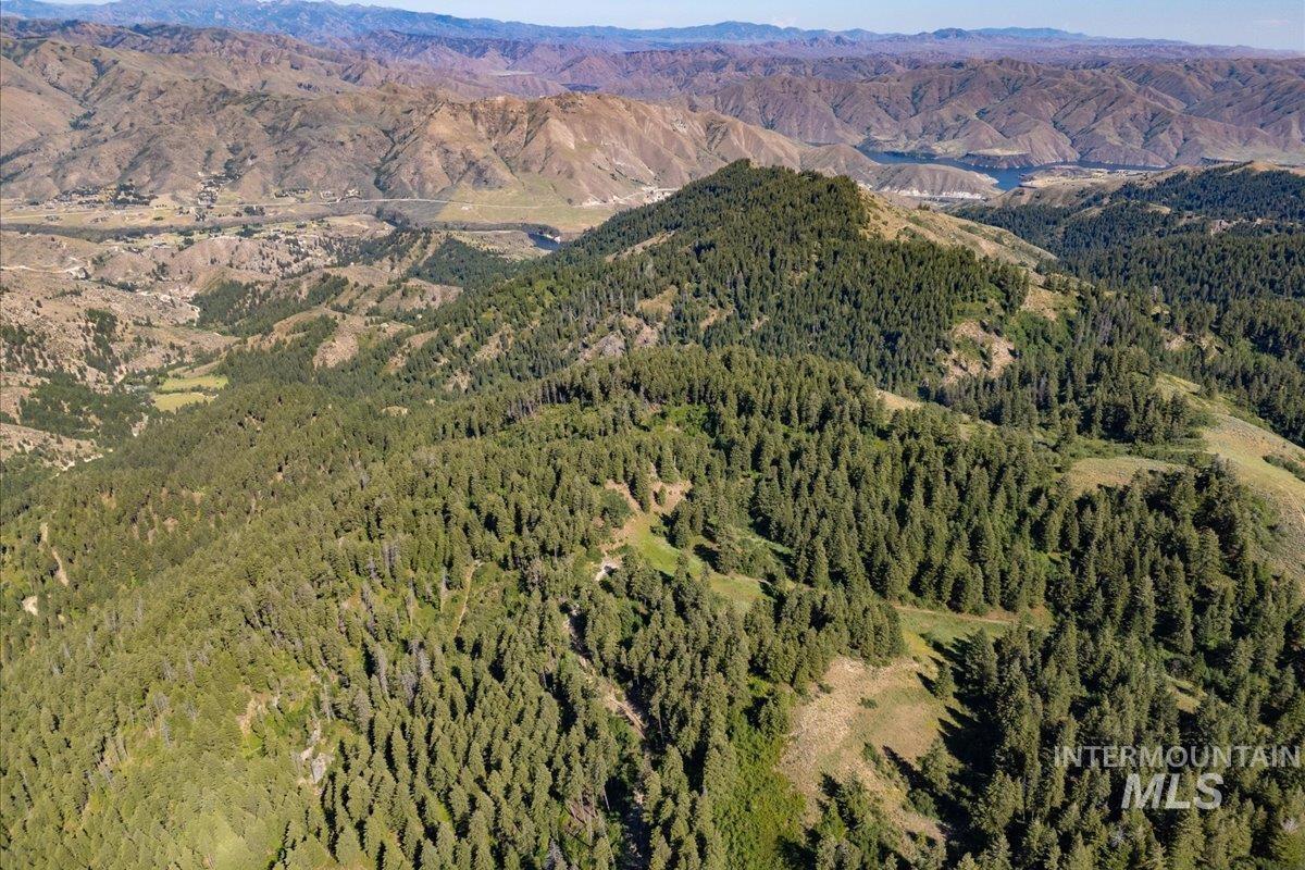 View of mountain background featuring a forest