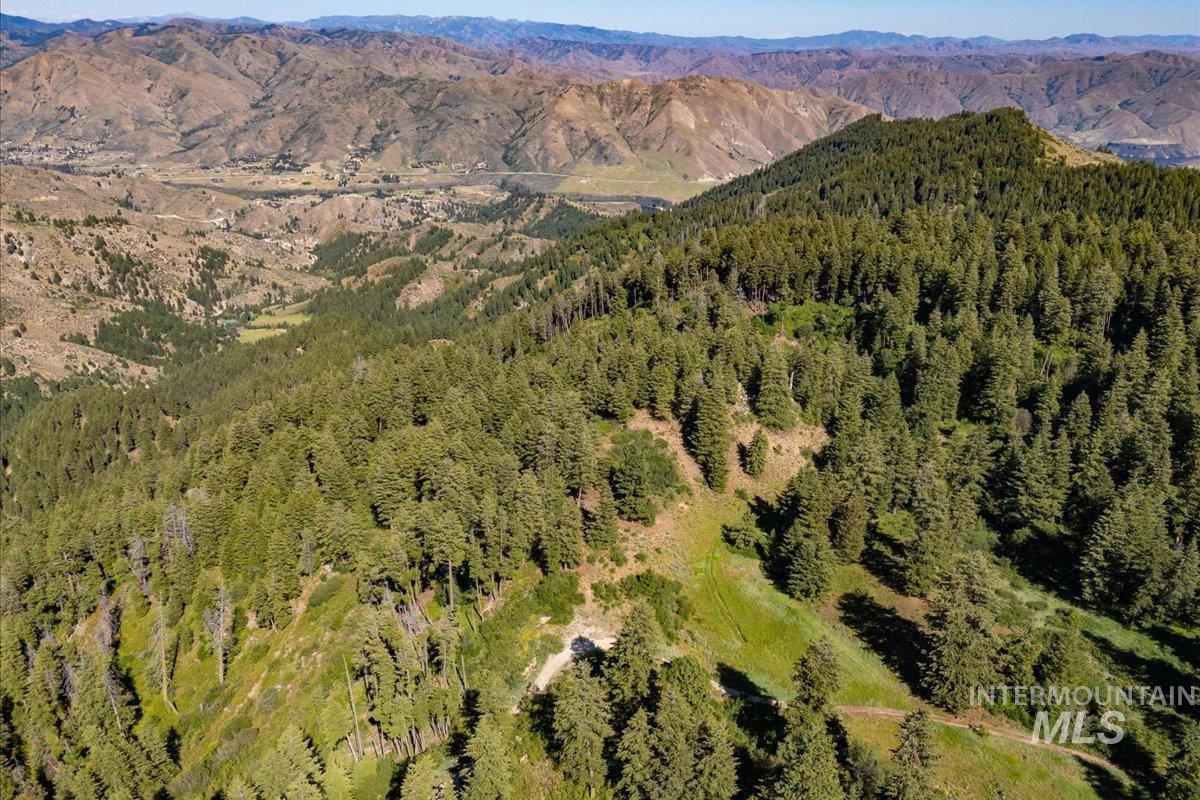 View of mountain background with a heavily wooded area