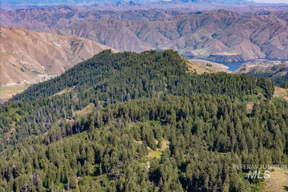 Mountain view with a heavily wooded area and a nearby body of water
