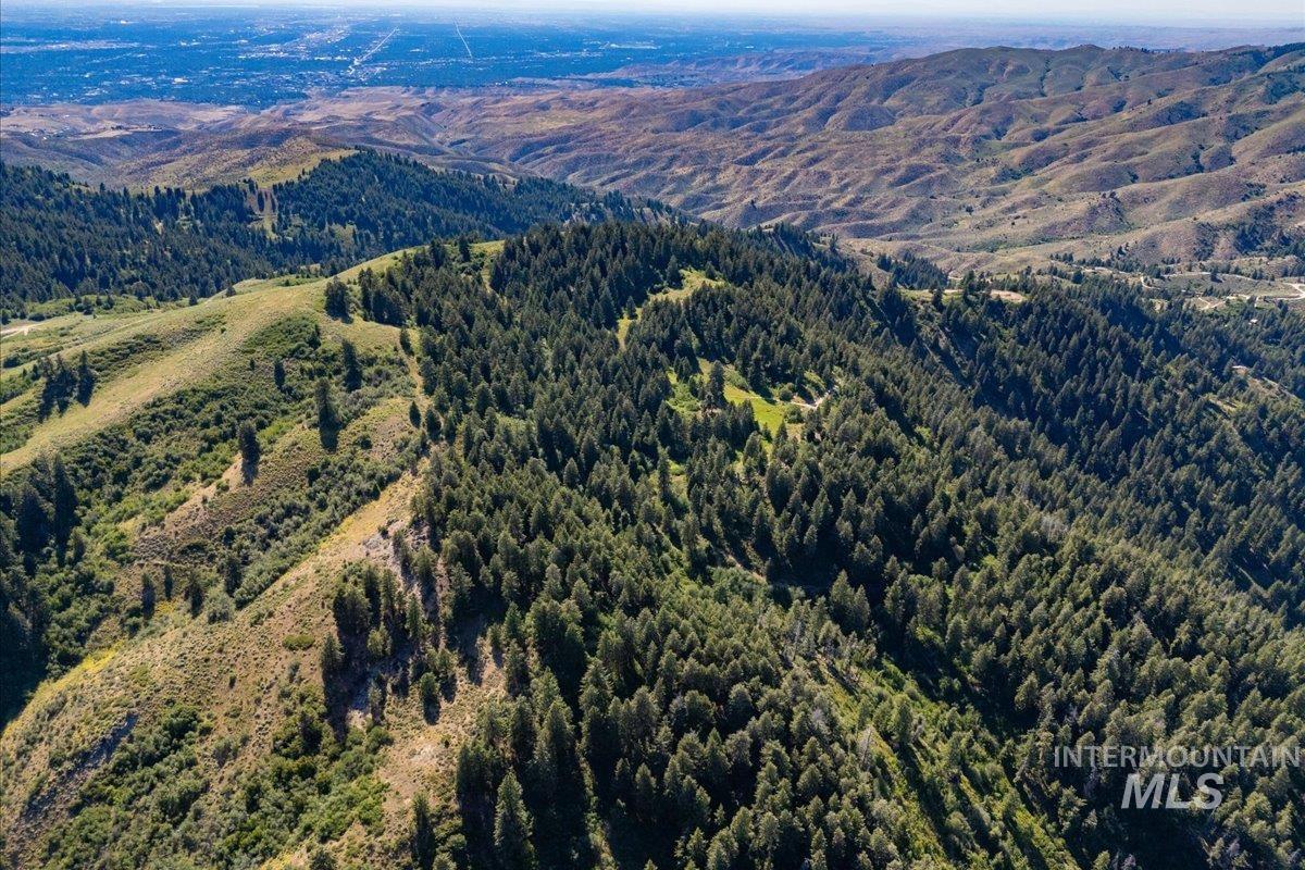 Drone / aerial view of mountains and a heavily wooded area