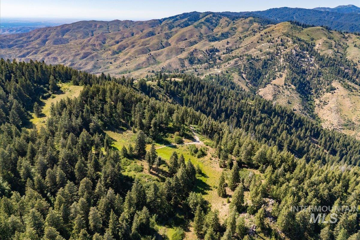 Mountain view featuring a forest