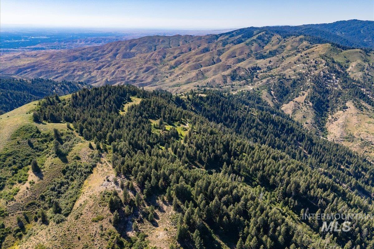 View of mountain background with a forest