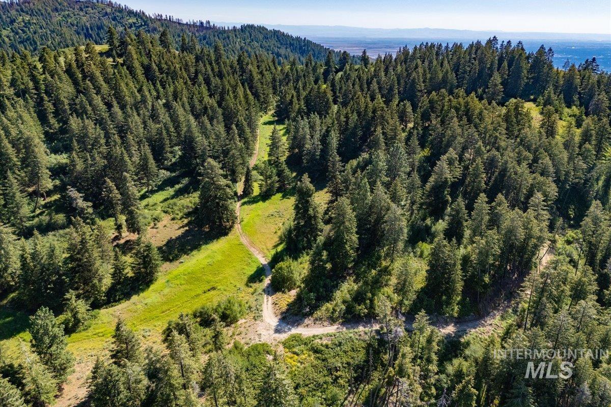 Aerial view of property and surrounding area with a heavily wooded area