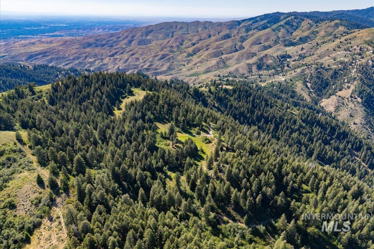 Mountain view featuring a forest