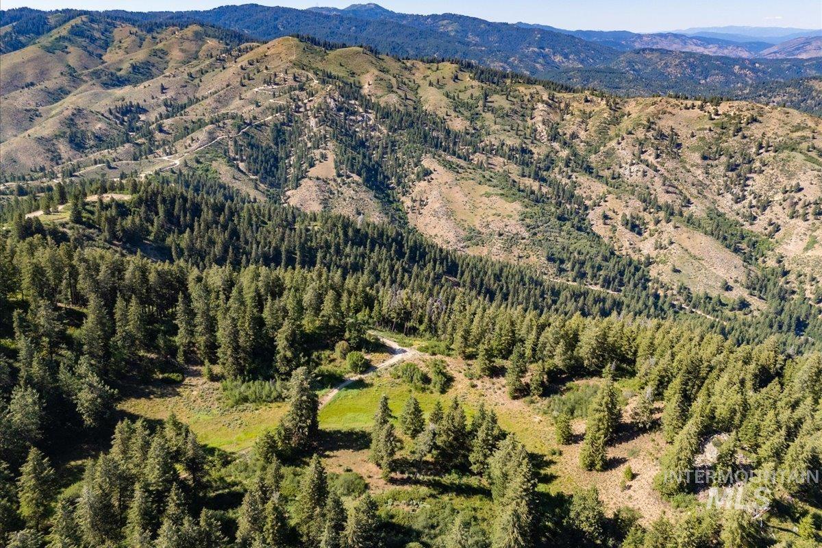 View of mountain backdrop with a forest
