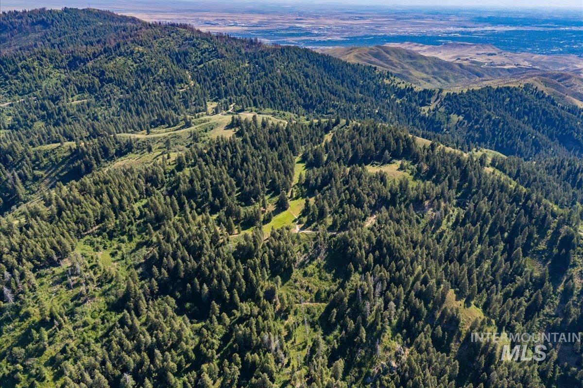 Bird's eye view of a forest and a mountainous background