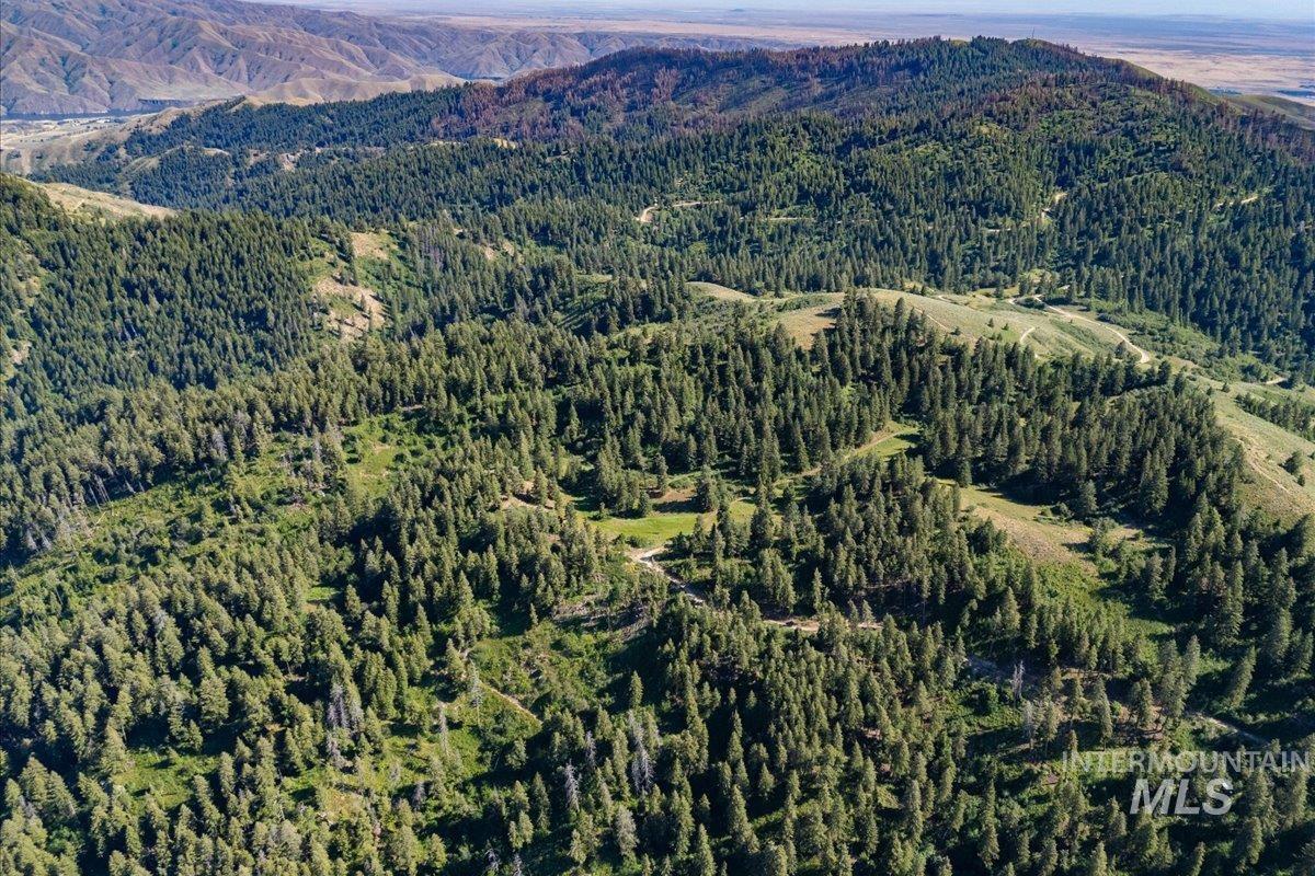 Mountain view featuring a forest
