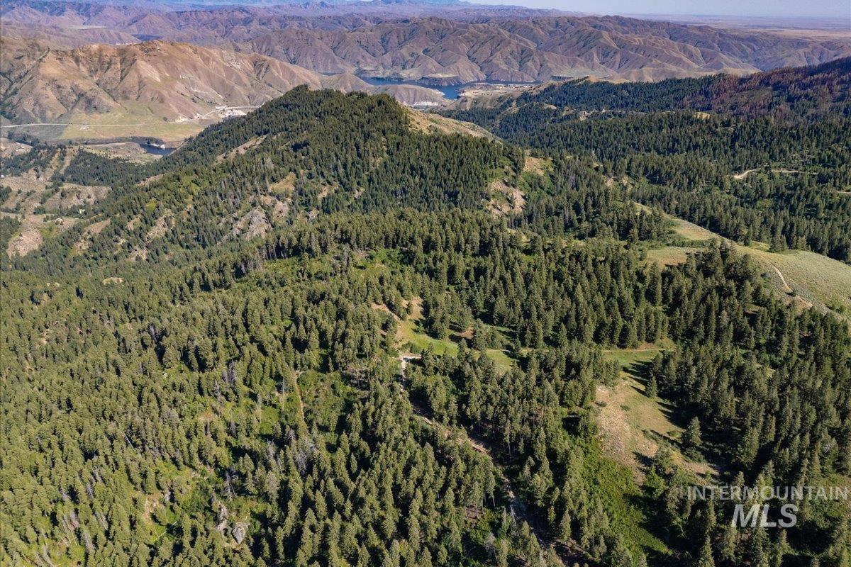 View of mountain background featuring a forest