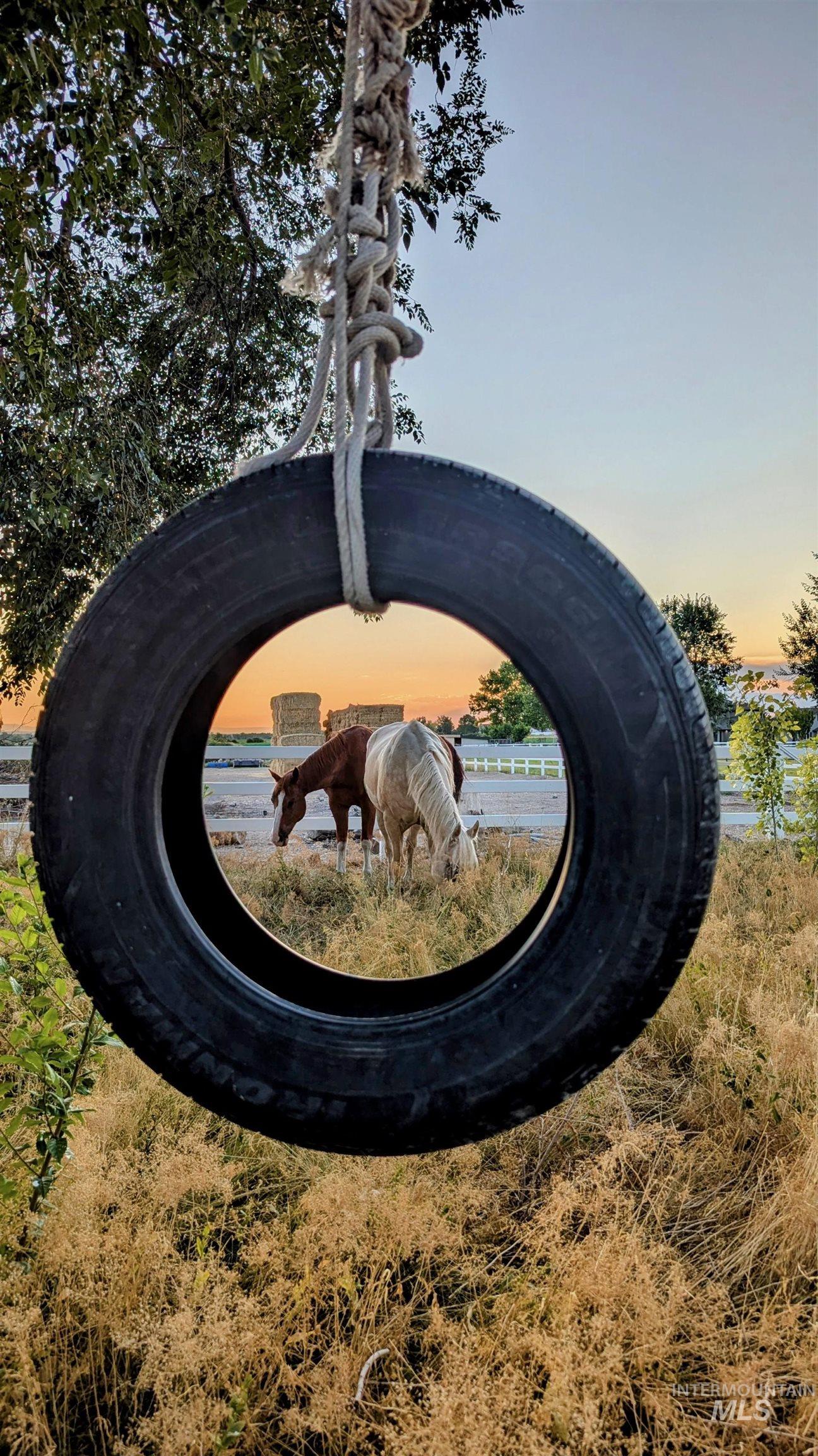 Plenty of room for animals, amazing sunsets