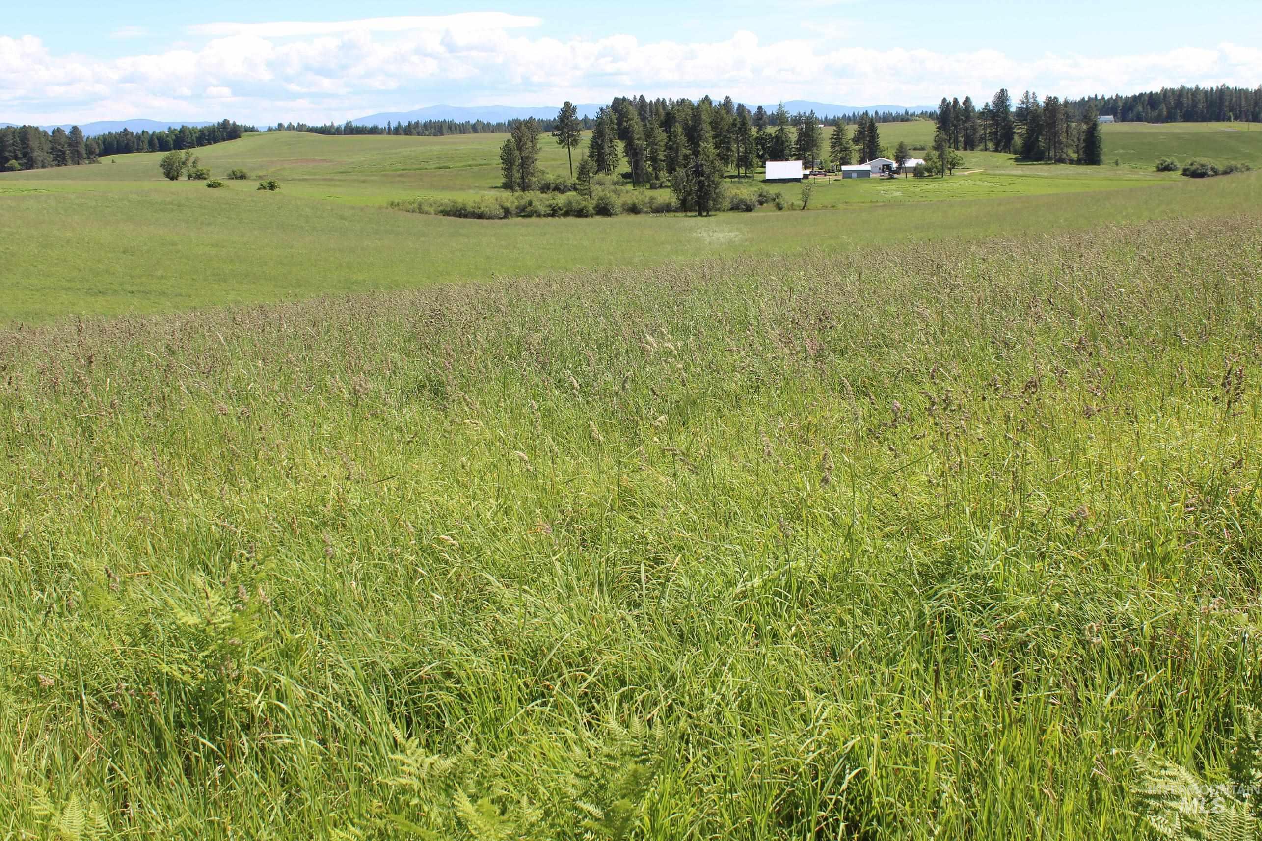 TBD Woodland-Caribel Road