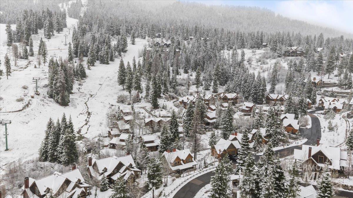 Snowy aerial view featuring a view of trees