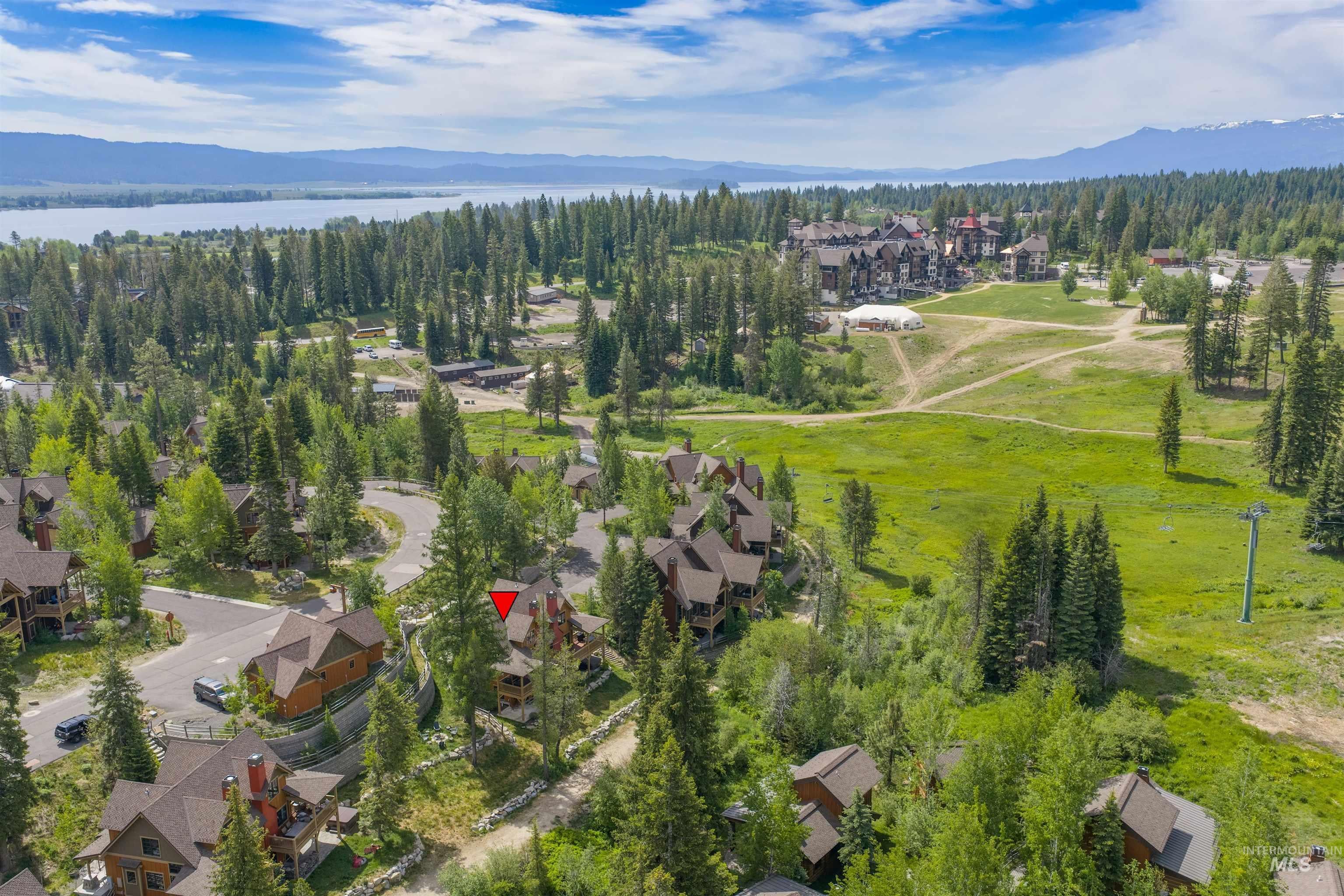 Aerial perspective showcasing a residential area nestled among extensive tree coverage