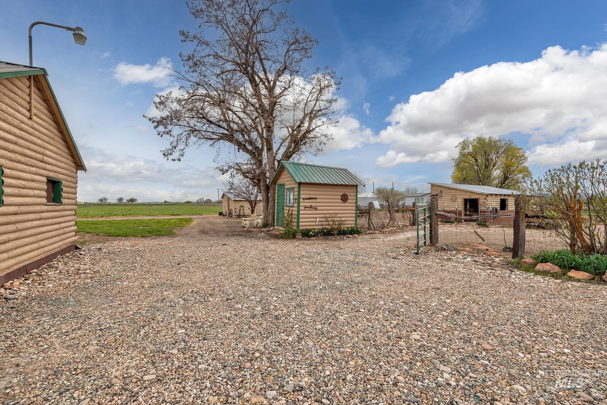 View of yard featuring driveway, a shed, and a gate
