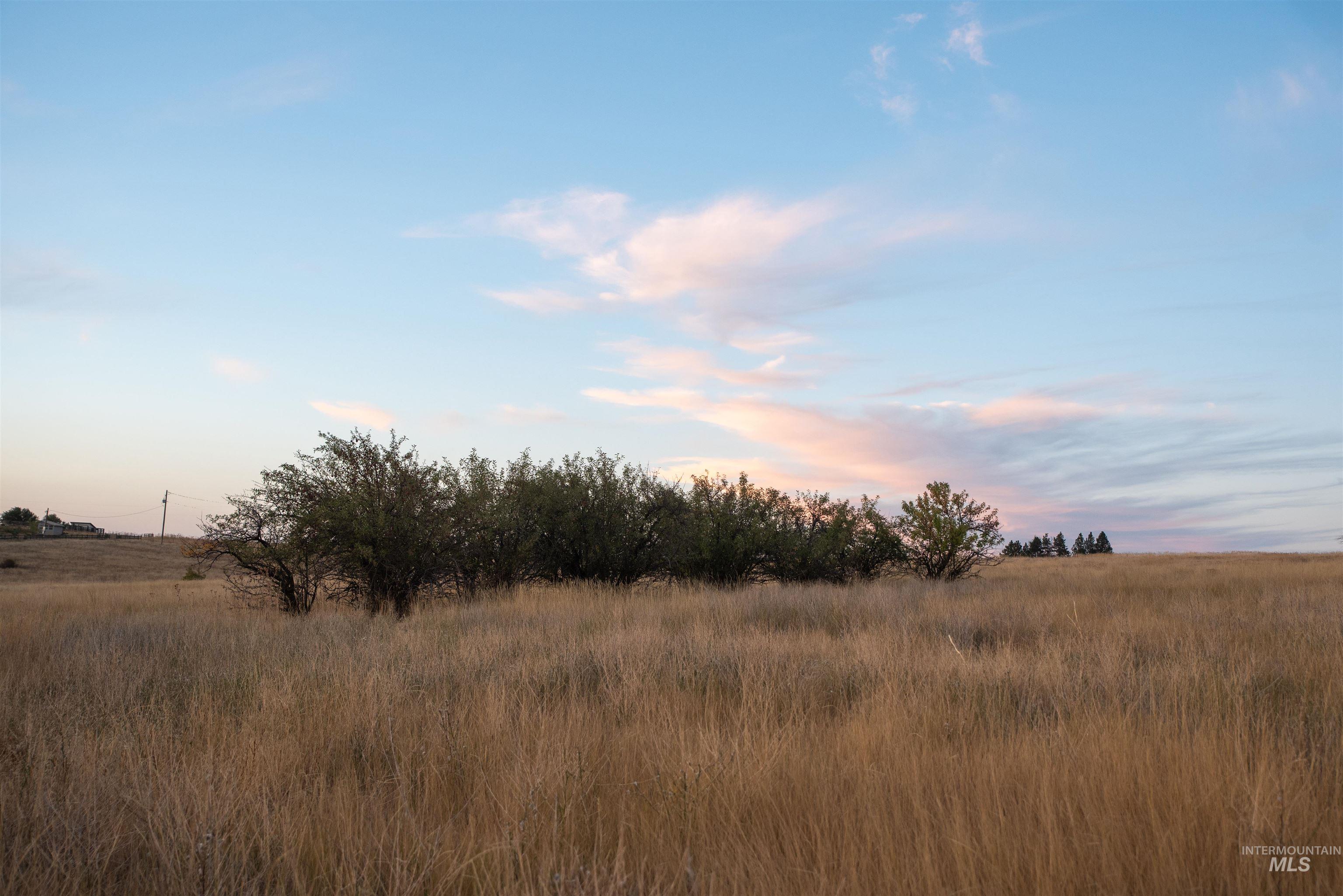 TBD Hwy 95, Mesa, Idaho image 4