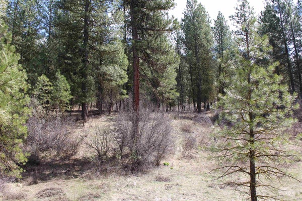 19 E BECK RD 1, GARDEN VALLEY, ID 83622 - Image 0412c57bd4efdaac7237a76d4e20fbd2/2670906001