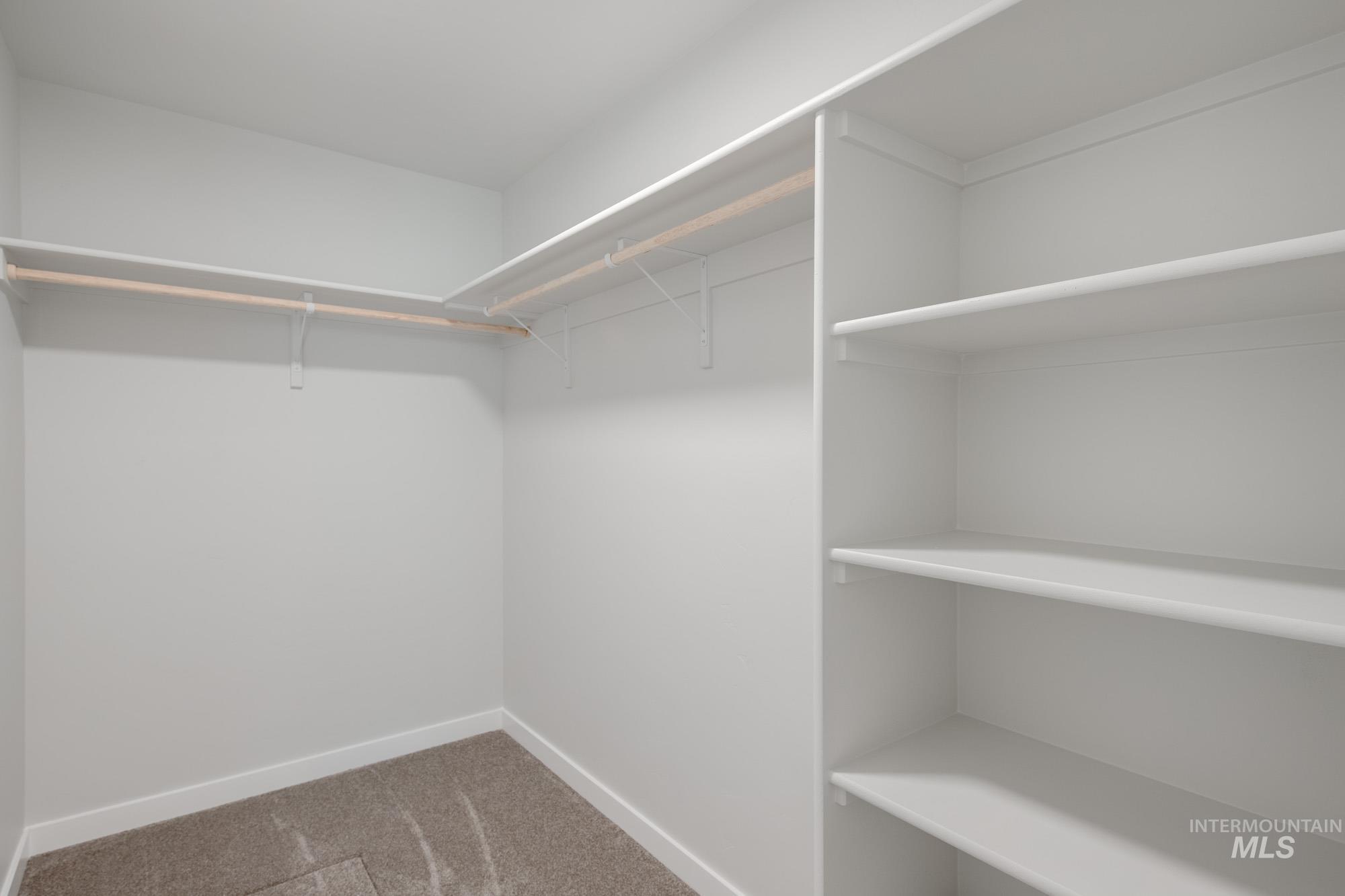 Walk in closet with carpet floors