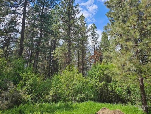 16 CASEY'S RD, GARDEN VALLEY, ID 83622 - Image 04a64b94740c6f8037bcce09bdf7ac8f/4189638491