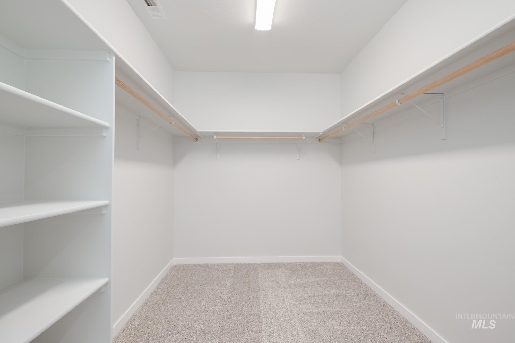 Walk in closet with carpet floors