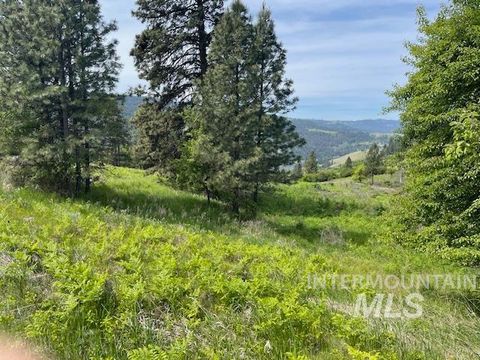 Photo of TBD Sunnyside Bench Rd, Lenore, ID 83541 (MLS # 98942816)