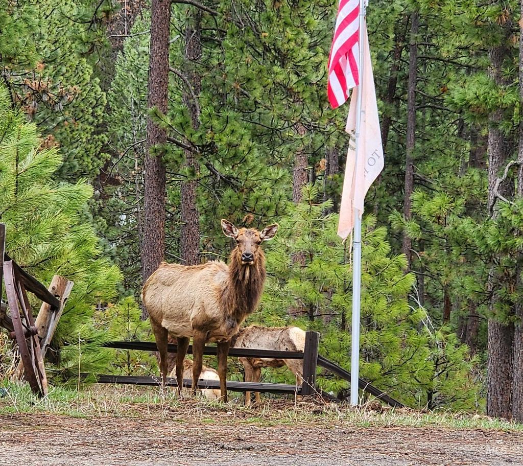 Photo of 27 Park Lane, Boise, ID 83716 (MLS # 98979622)