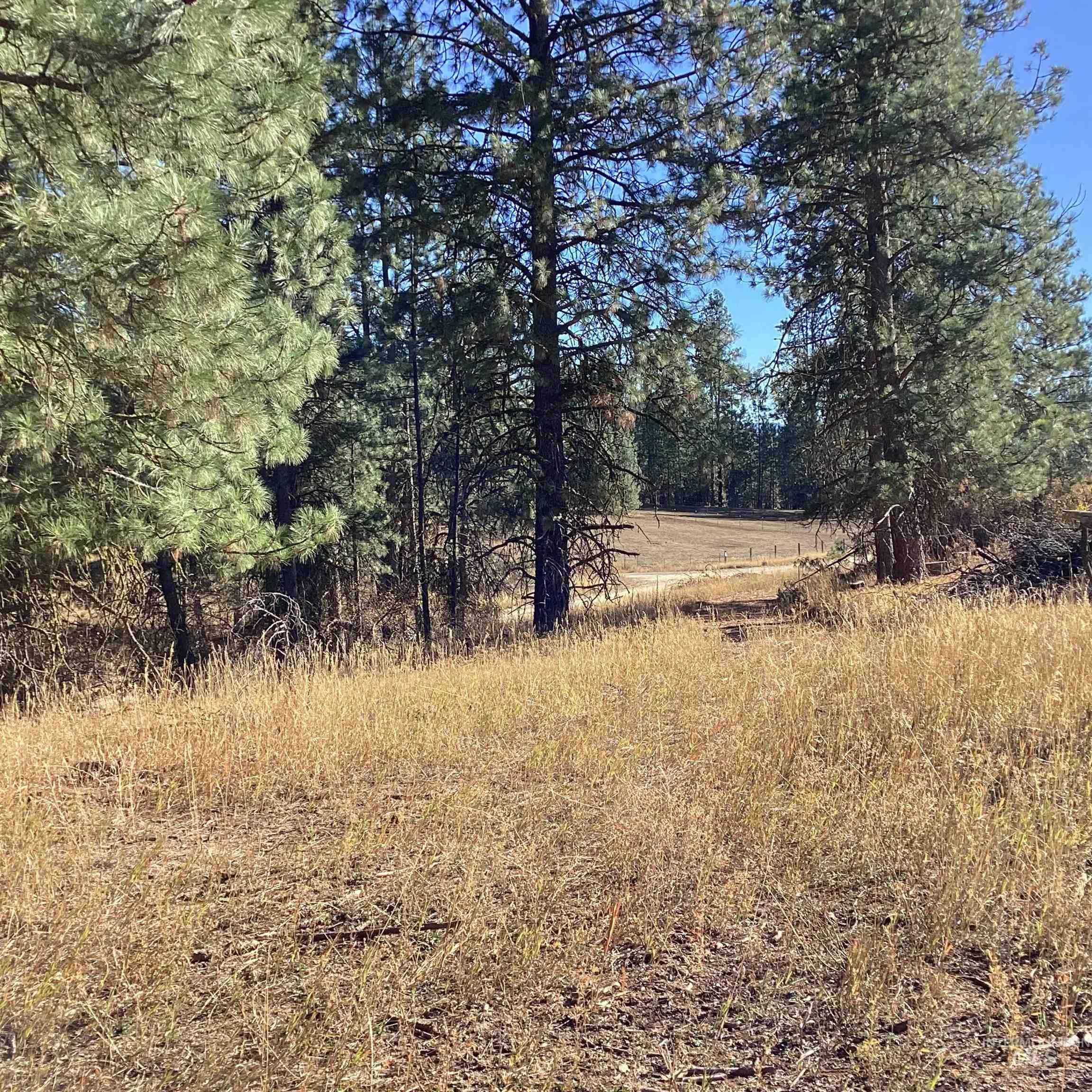 TBD Granite Basin Rd, Garden Valley, Idaho image 8