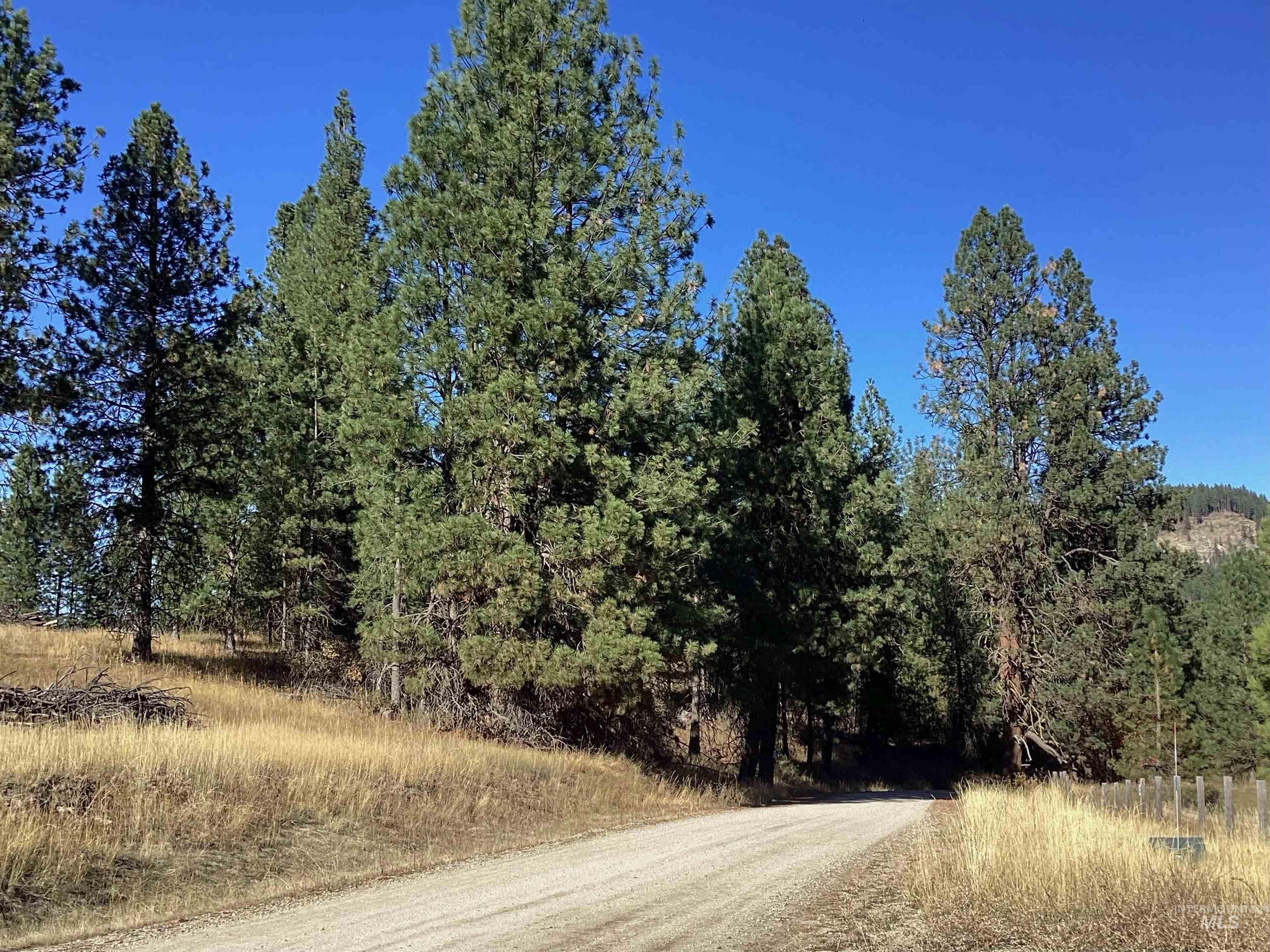 TBD Granite Basin Rd, Garden Valley, Idaho image 17