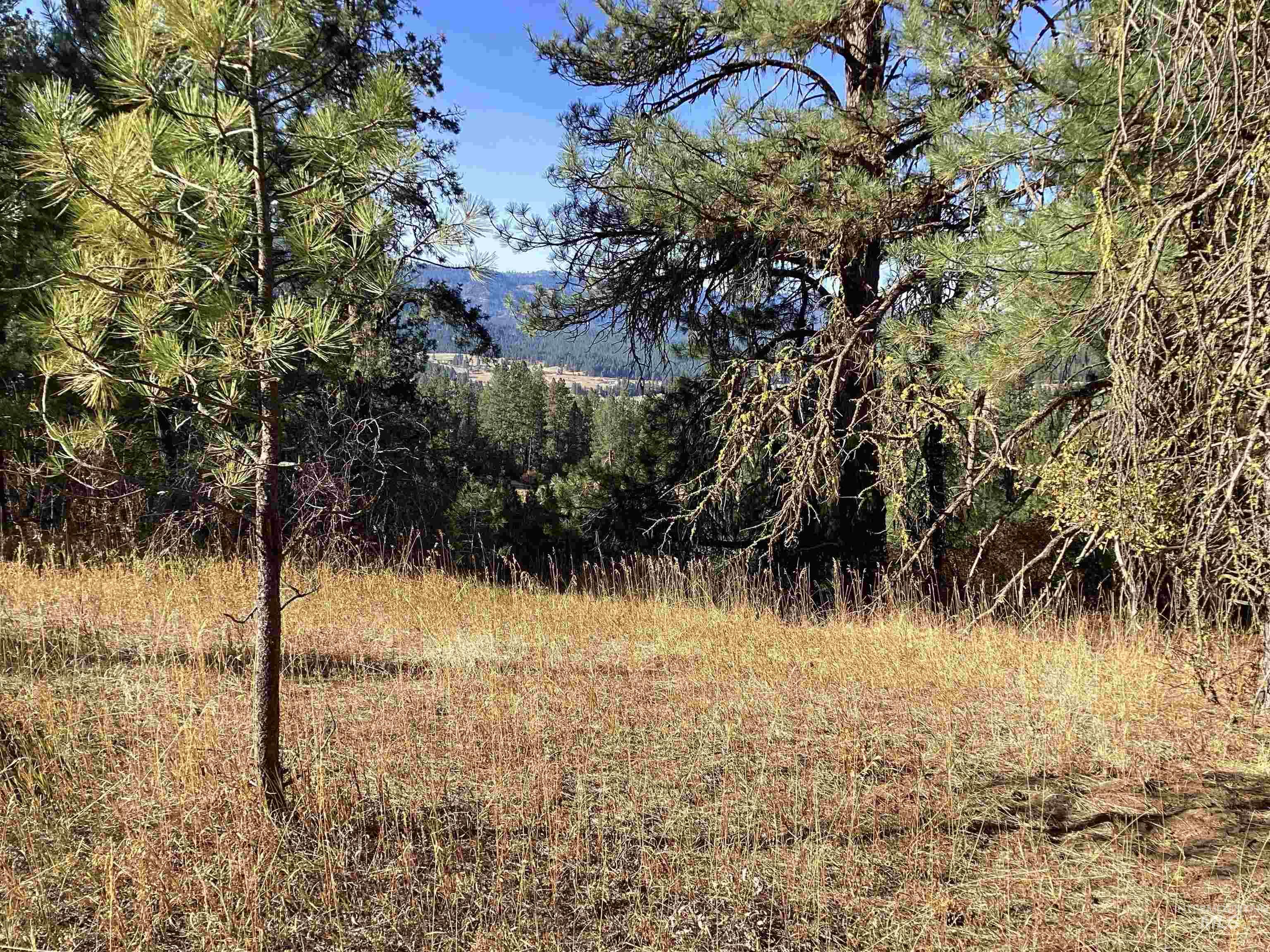 TBD Granite Basin Rd, Garden Valley, Idaho image 4