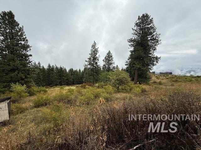 View of undeveloped land