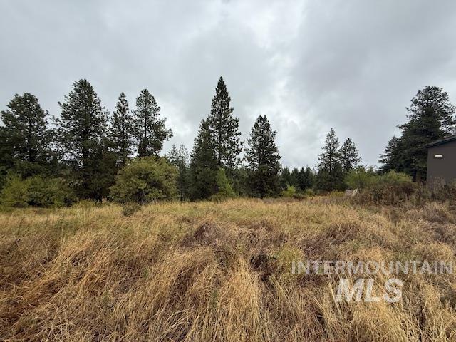 View of undeveloped land