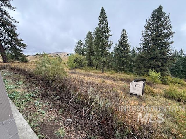 View of undeveloped land