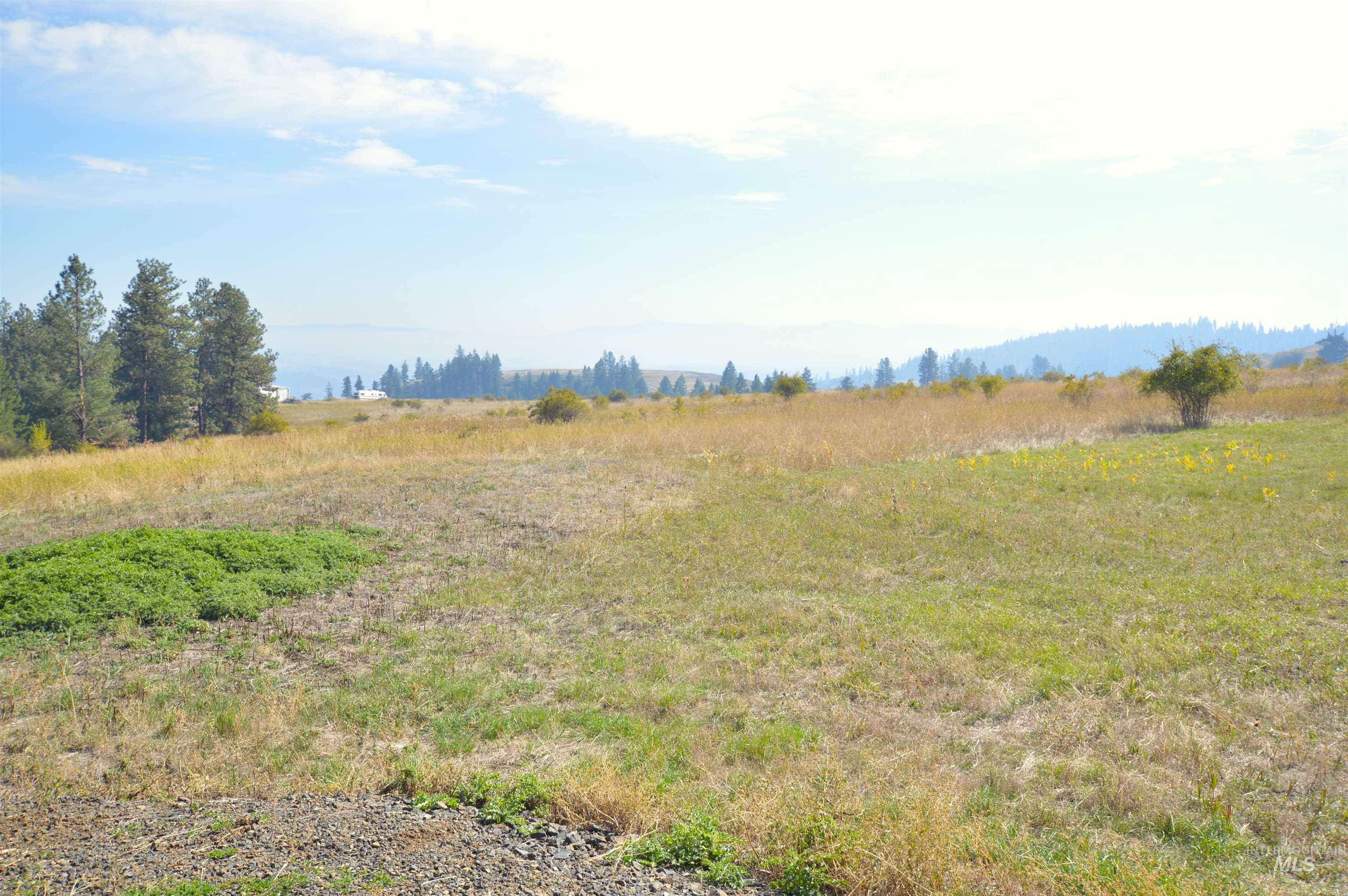 View of local wilderness featuring rural landscape