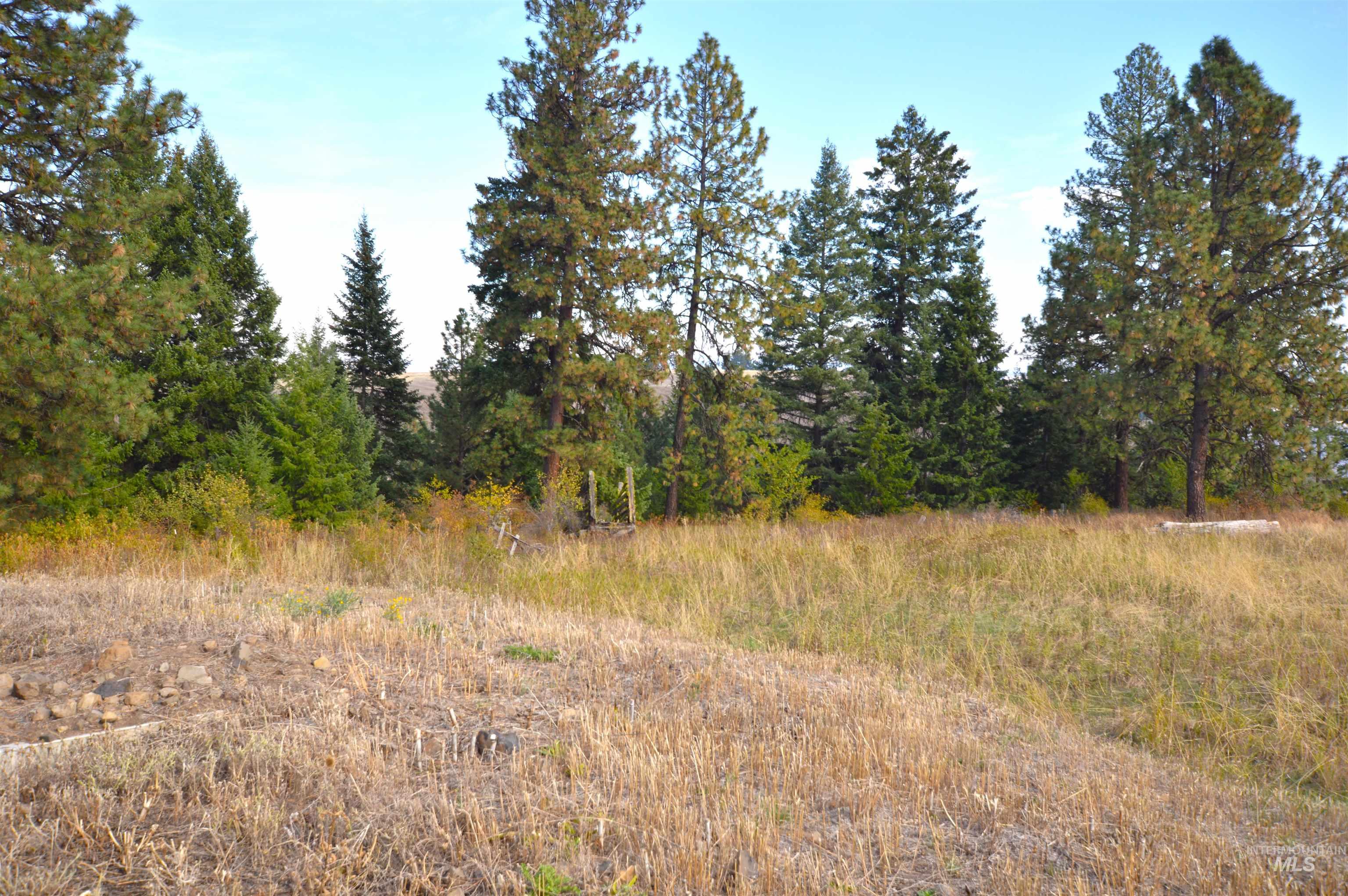 View of undeveloped land