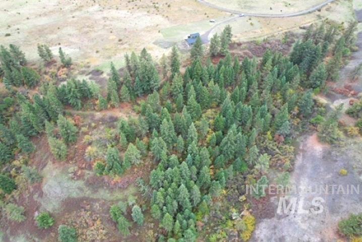 Aerial view of property's location