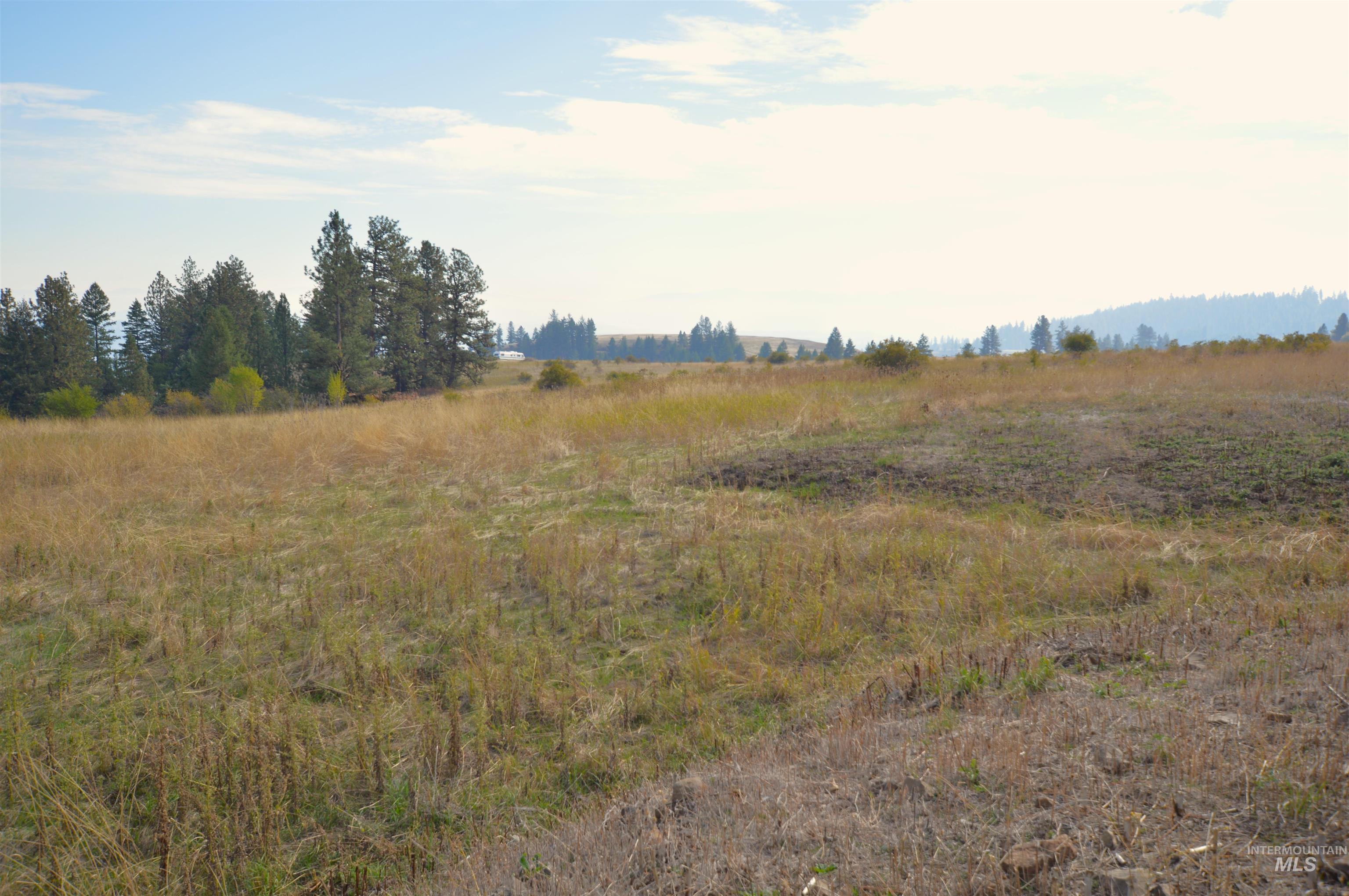 View of local wilderness featuring rural landscape